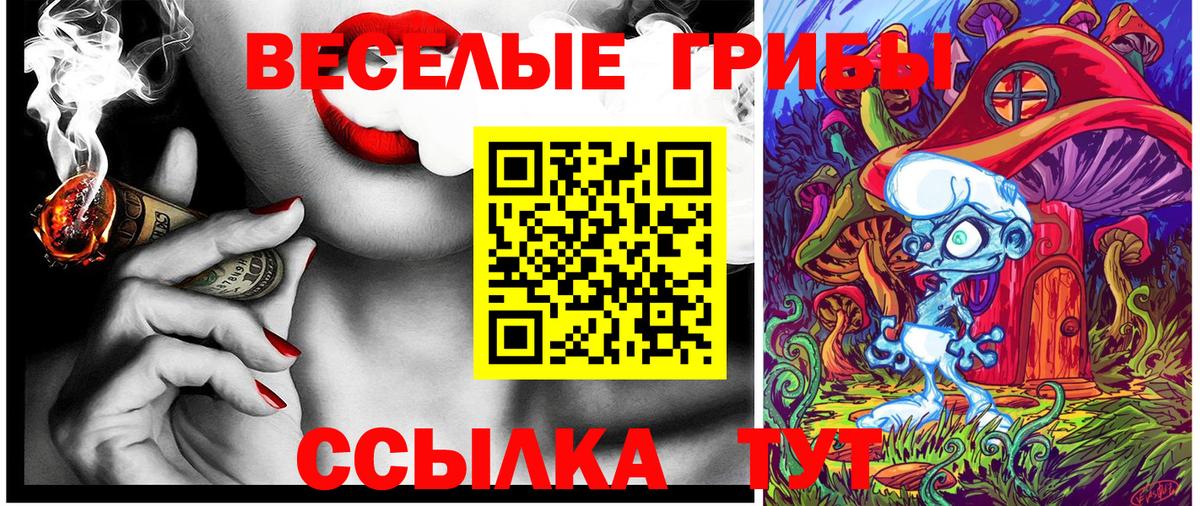Галлюциногенные грибы Psilocybine cubensis Когалым